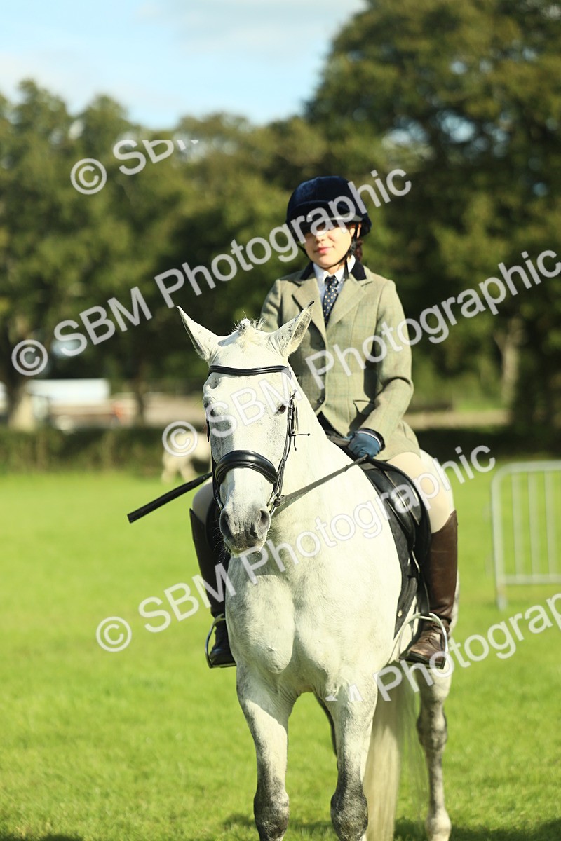 SBM_49847 - S32 - Novice & Newcomers Working Hunter