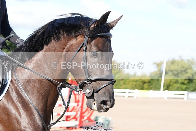 250802-093142-08344 - Cls 19 British Novice and 90cm Open