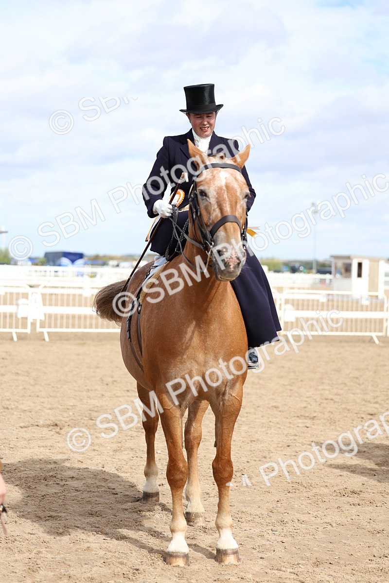 SBM_03272 - Class 22 - SSA Equitation (any age)