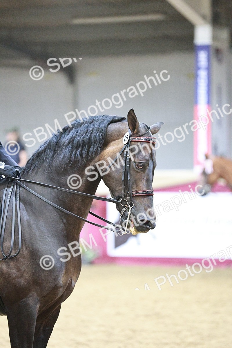 SBM_03352 - Class 6A Area Ridden Pre-Vet