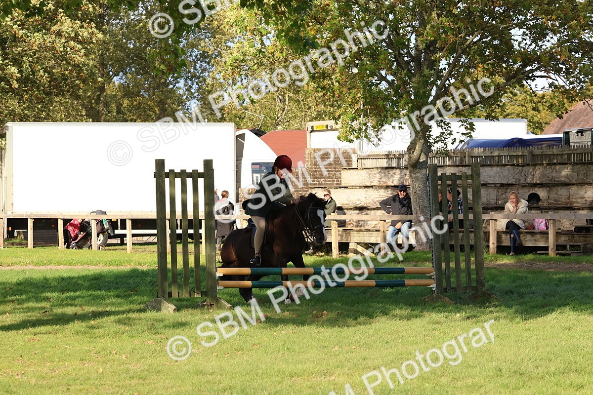 SBM_52543 - S13 - Pony Club Pony