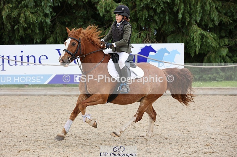 240616-133646-04301 - 70cm 12.30 to End