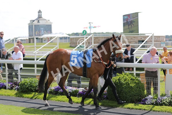 yr11062021r4-1 - Race 4 3.30pm British EBF supporting Racing with Pride Fillies' Handicap