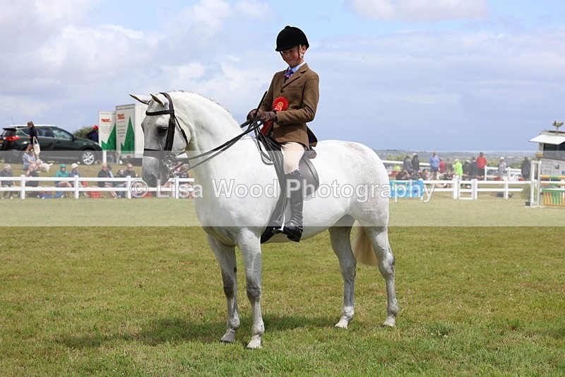 3E7A1772 - Class 9: Open Hunter