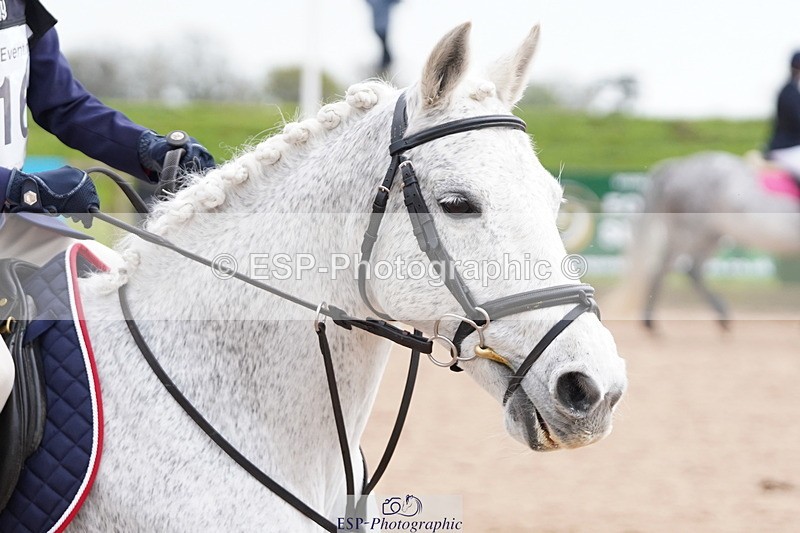 250419-144832-12745 - 816-Arabella.Corbett-MS.HOUDINI