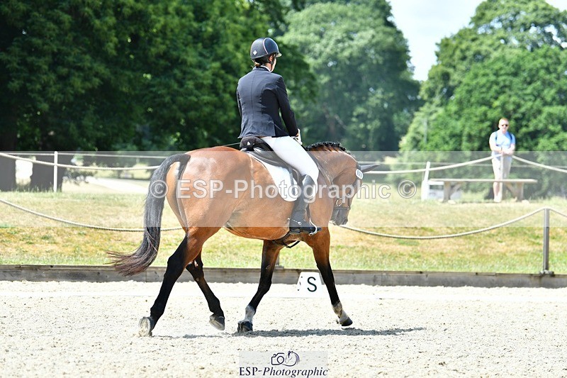 230623-132336-02371 - Cls 4 Novice 37Q 12.45 to End