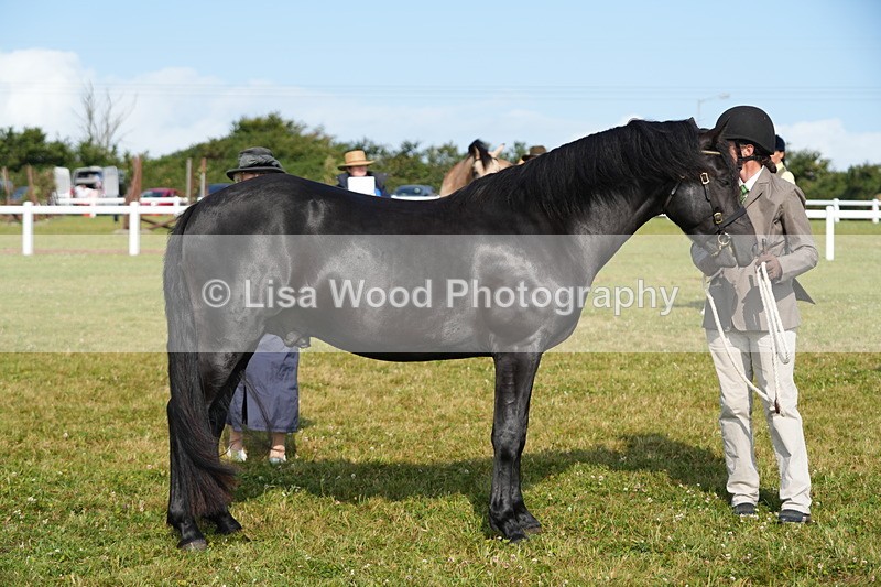 DSC05005 - Class 48: NPS M&M 2/3 year olds