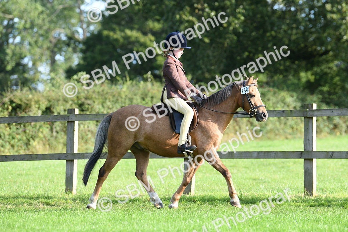 SBM_53981 - S23 - 1st Ridden Mountain & Moorland Pony