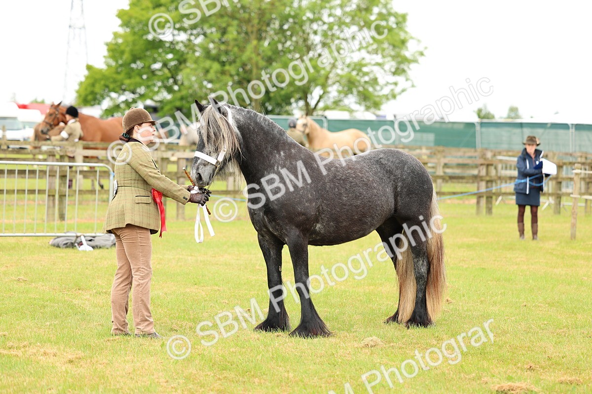 SBM_00611 - Class 58-67 - M&M Non Welsh Pony In hand