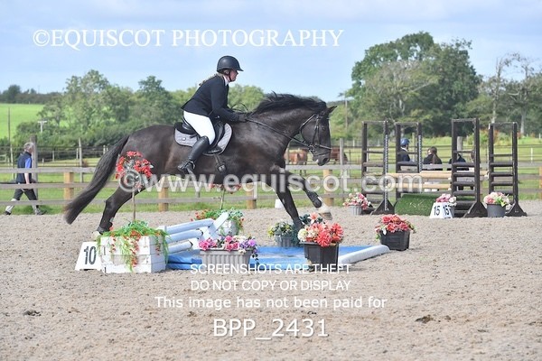 BPP_2431 - DERBY CLASS 7 - 80CM