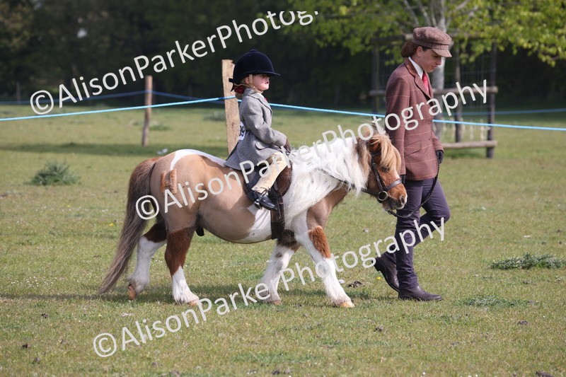 20260426-0260 - Class 30 - Tiny Tots Lead Rein