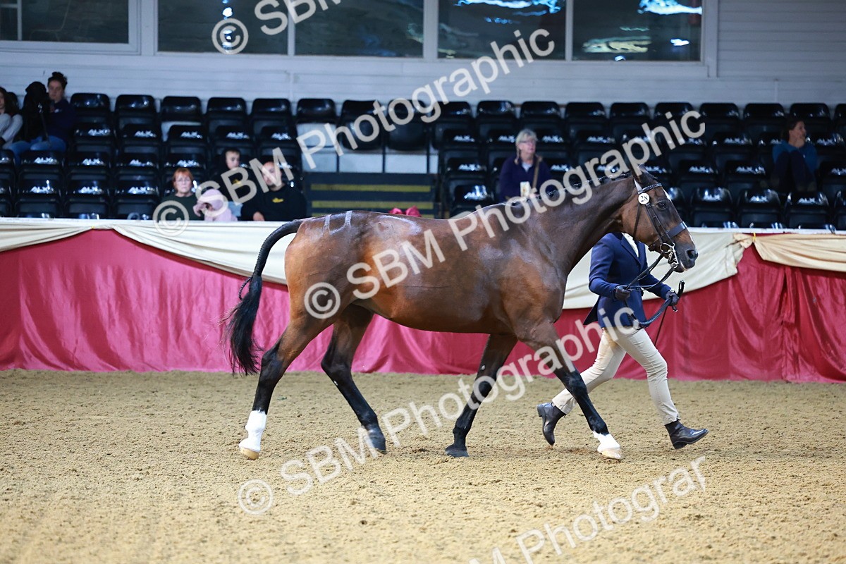 SBM_21786 - Class 901 - Supreme Final - IH  Diamond