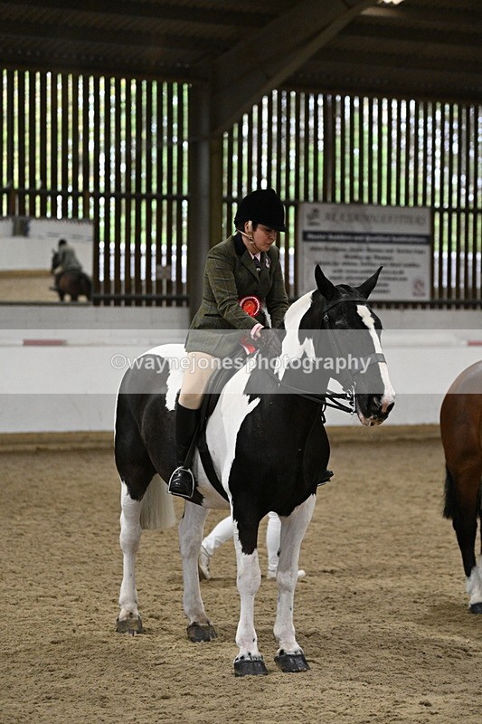 WJ7_4341 - Class 17 Ridden Cob