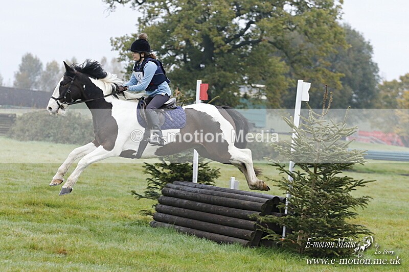 WWHT 181020 WWHT 181020 051 - WWEC Novice Restricted (0.80m) 18/10/20