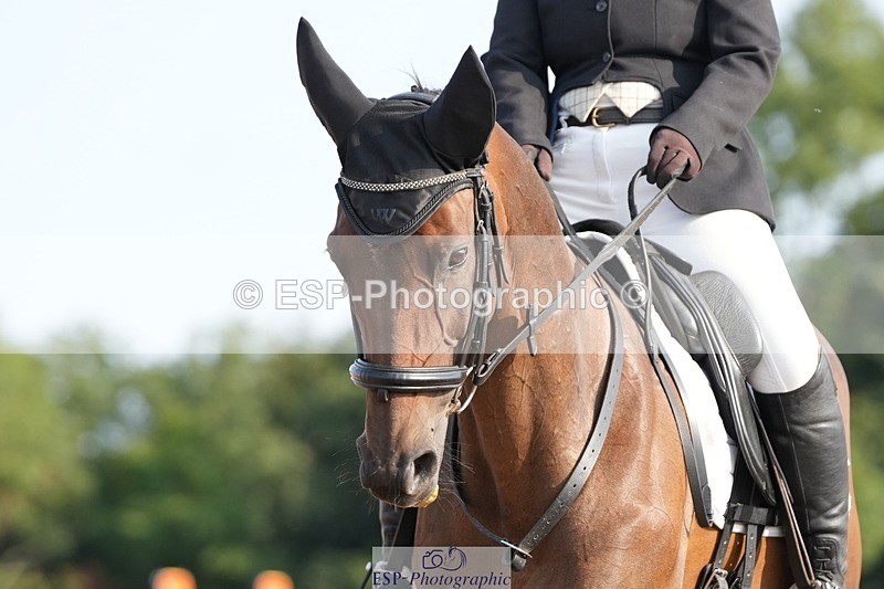 250815-091117-00042 - 005-Patricia.HaskinsGaelic.Surprise