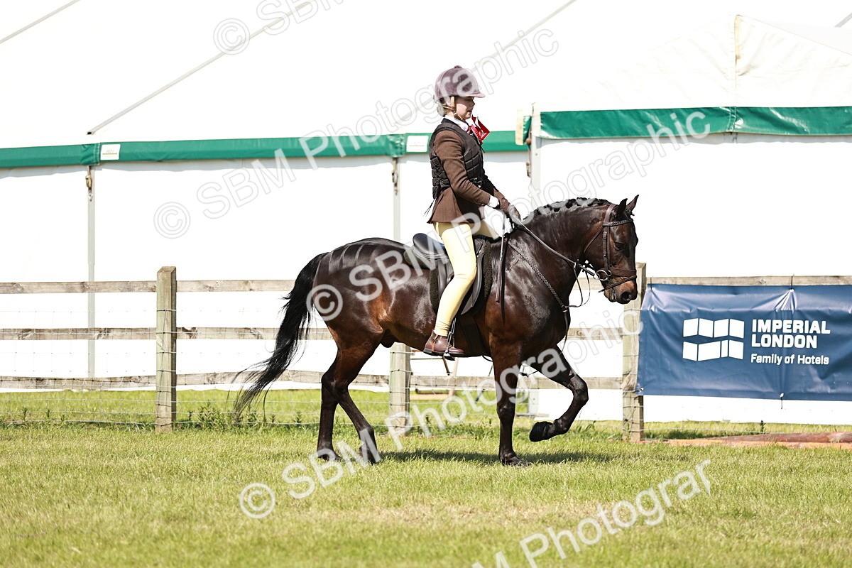 SBM_17679 - Class 112-113 - BSPS LIHS Working Sports Pony
