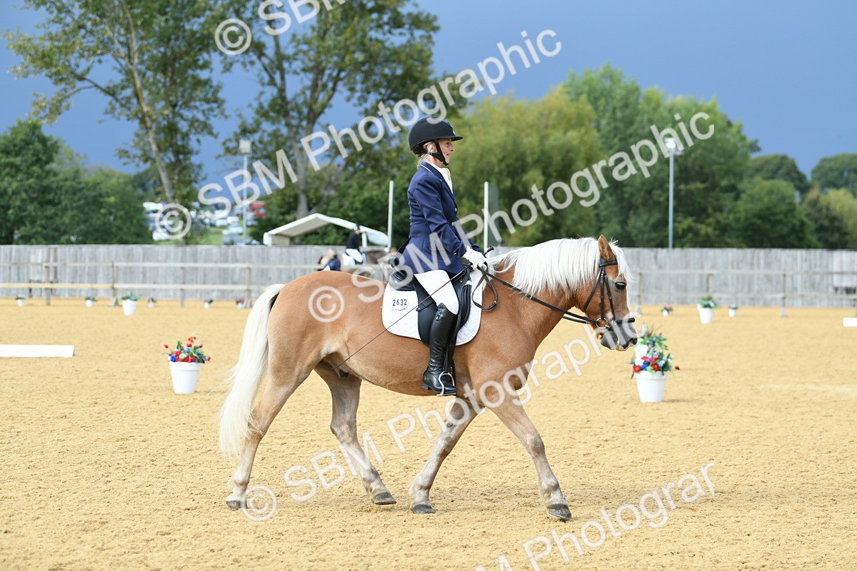 SBM_10891 - D28 Elementary Taster Elementary 42