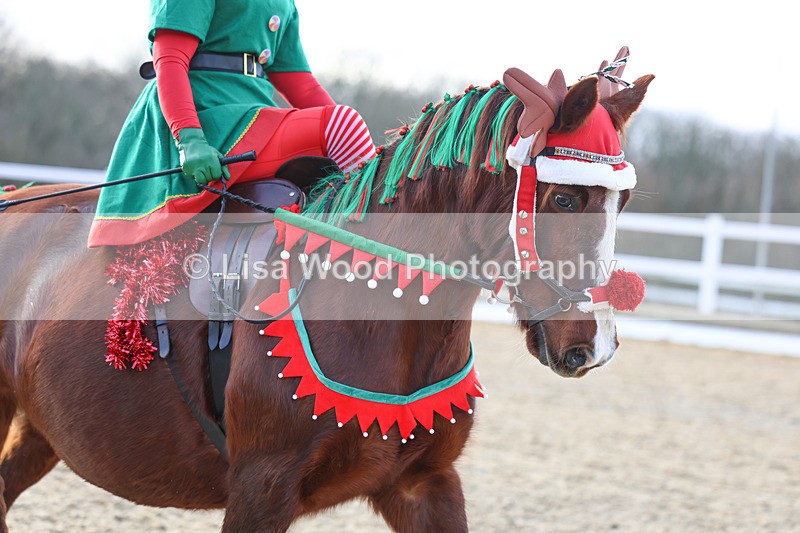 3E7A4702 - Class 4: Prelim Section B