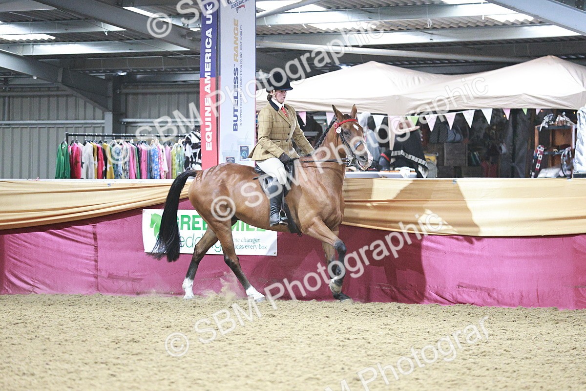 SBM_08190 - Class 11R - Regional Ridden Veteran