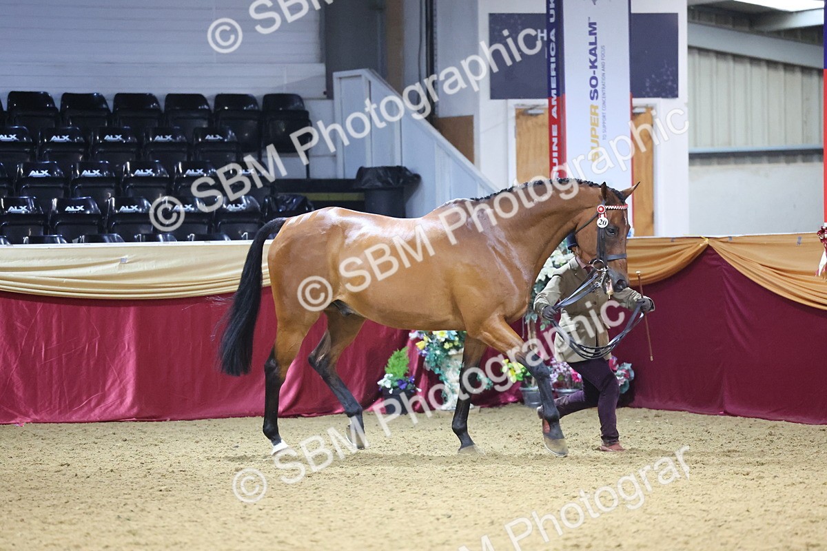 SBM_20763 - Class 902 - Supreme Final IH Veteran