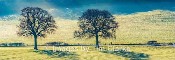 IMG_0040 - NewLands Corner