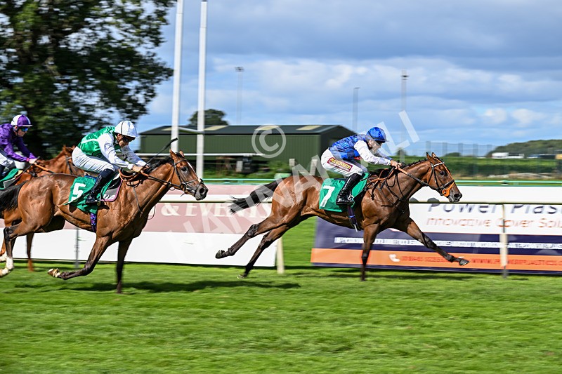 050926-Race 1-Prince Kameo-2600 - Race 1 1.35pm Personal Touches Day Of Elegance Nursery Handicap