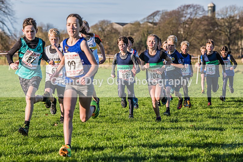 Workington XC-56 - Workington Cross Country Curwen Park, Saturday 3rd December 2022