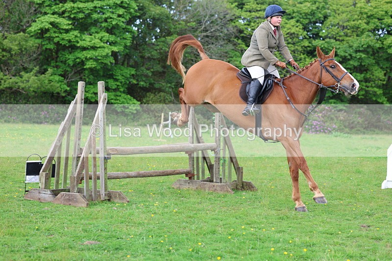 3E7A2529 - Classes 30 and 31: 80cm Working Hunter