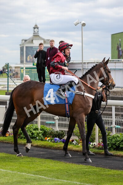 yr12052022r7-8 - Race 7 5.15pm Fidomoney Stakes