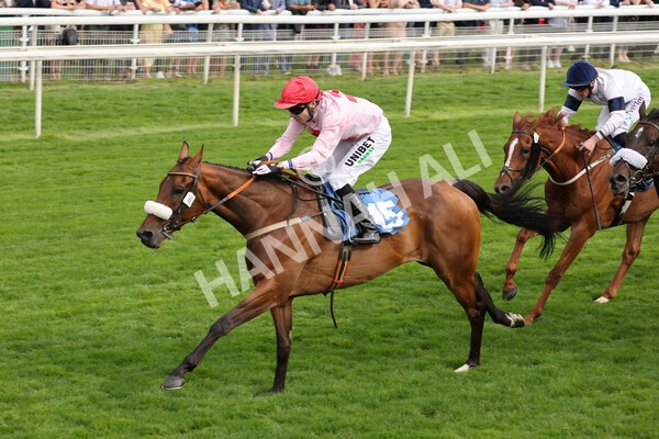 yr18082021r5-56 - Race 5 4.10pm Sky Bet Stakes