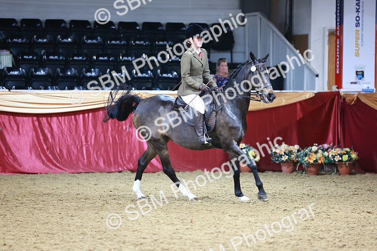 SBM_23411 - Class 904 - Supreme Final - Ridden Diamond