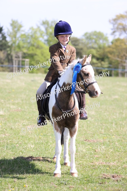 20250427-3303 - Class 33 - Best Pony 14.2hh and Under