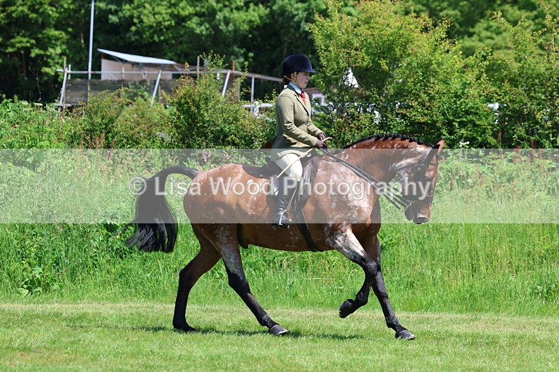 3E7A8249 - Class 13: Ridden Hunter