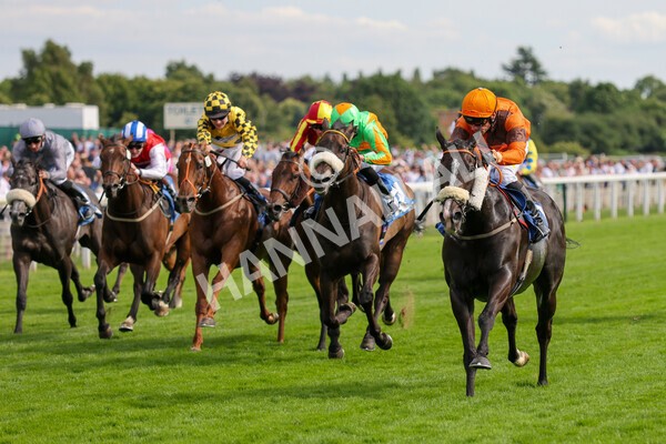 yr08072022r6-10 - Race 6 5.00pm Irish Thoroughbred Marketing Stakes