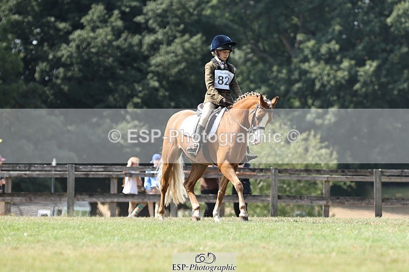 250823A-135408-31383 - Arena D