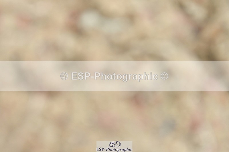 230630A-122818-01867 - Cls 7 Elementary 45