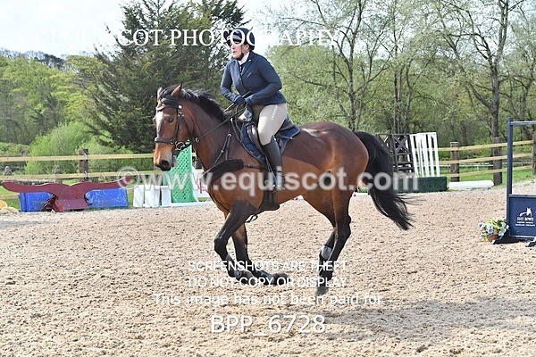 BPP_6728 - CLASS 2 FRI Club/ Unaffiliated 80cms Open