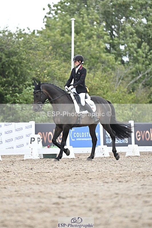 250907-140531-08625 - 100-Adele.RonchettiFamily.Affair