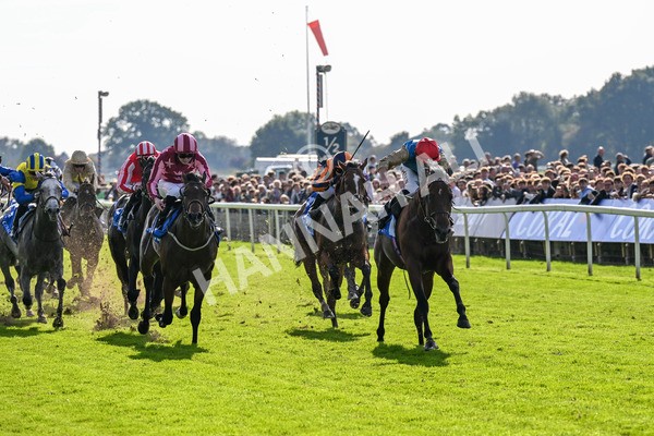 111025-Race 1-Division-0175 - Race 1 Coral Rockingham Stakes at York