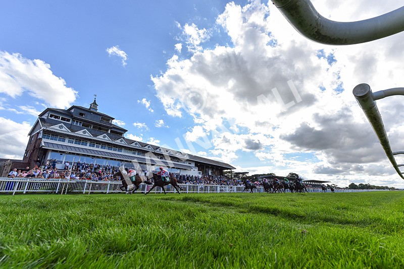 140926-Race 2-Bladey Lady-2-2 - Race 2 2.51pm Patrick Hibbert-Foy Memorial Nursery Handicap