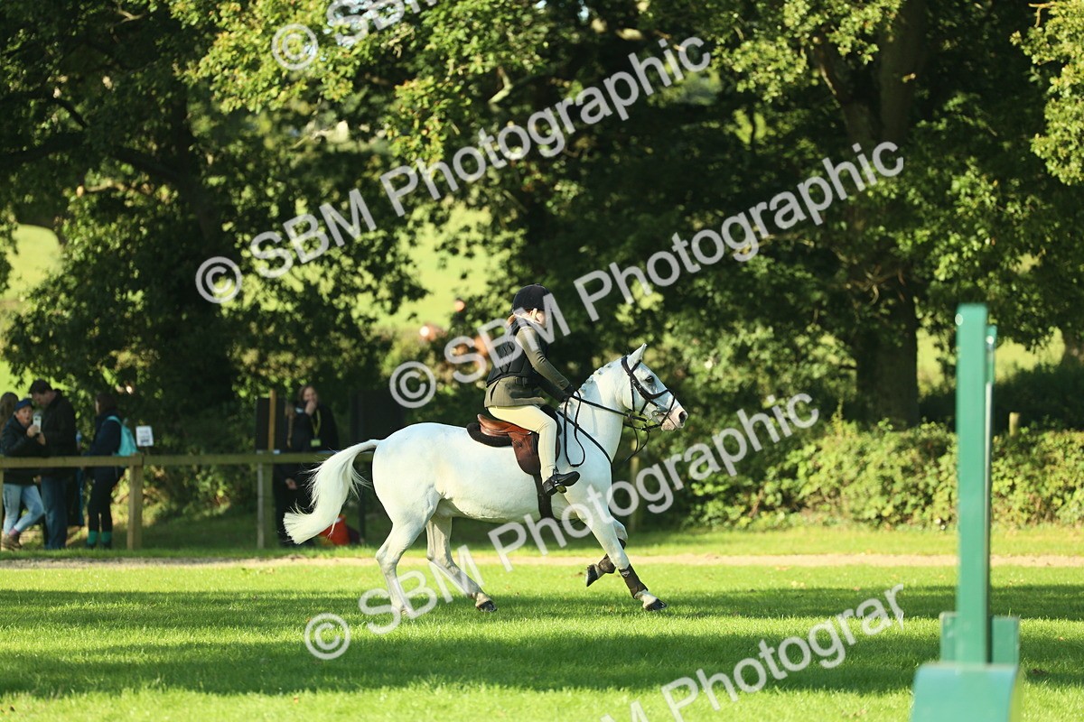 SBM_36283 - S29 - Novice & Newcomers Working Hunter Pony