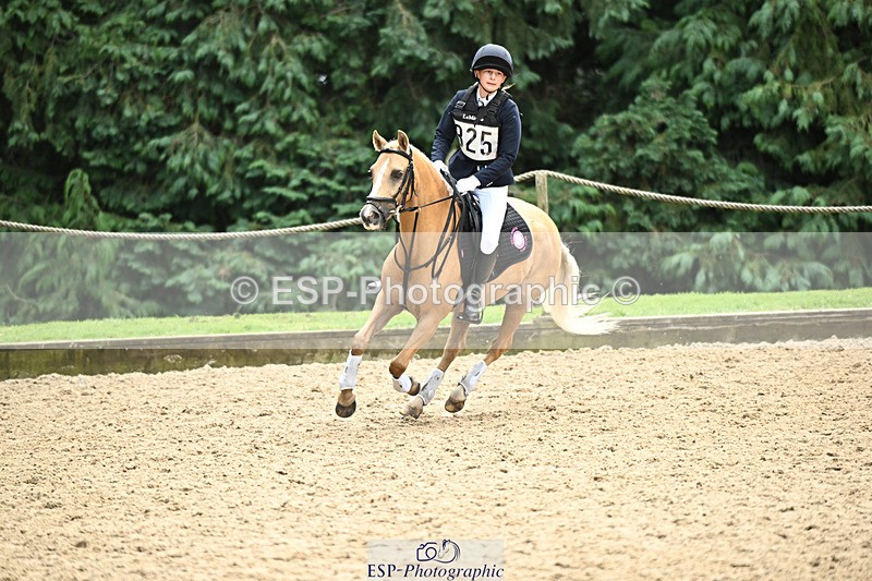 240822X-151936-10772 - 50cm R1 15.00 to 16.00