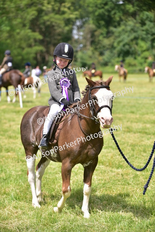 20260614-1422 - Class 11b - Lead Rein Pony (Plaited)