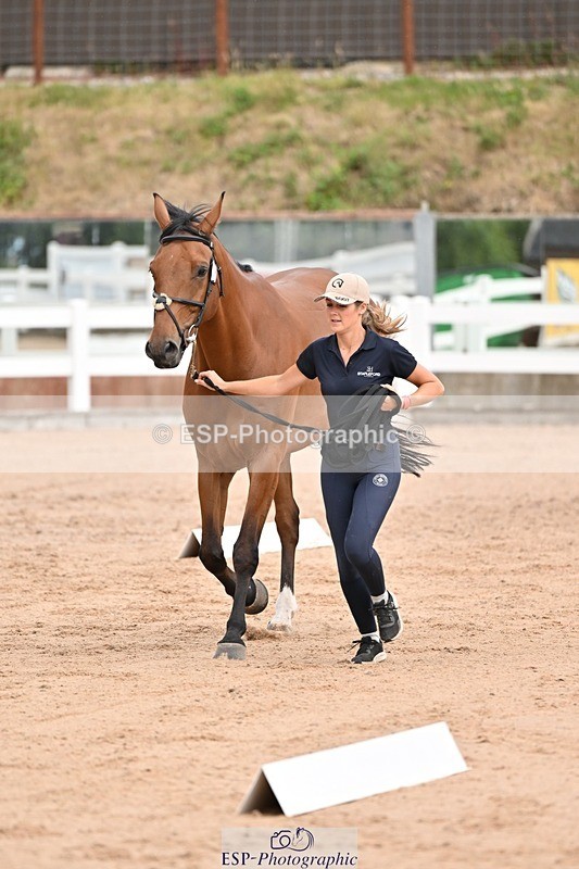 250716-151316-01778 - Trot Up 2.30 to 3.30