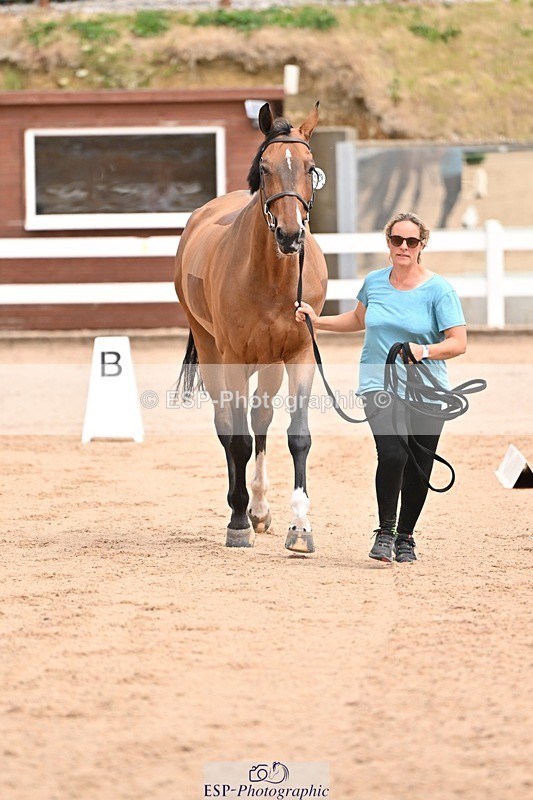 250716-150836-01675 - Trot Up 2.30 to 3.30