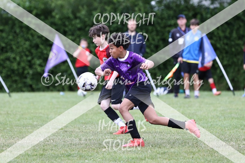 1DX31134 - Brook Field V Goddard Park