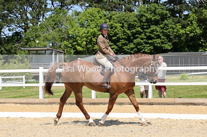 1X9A1456 - Class 10: Ridden Veteran