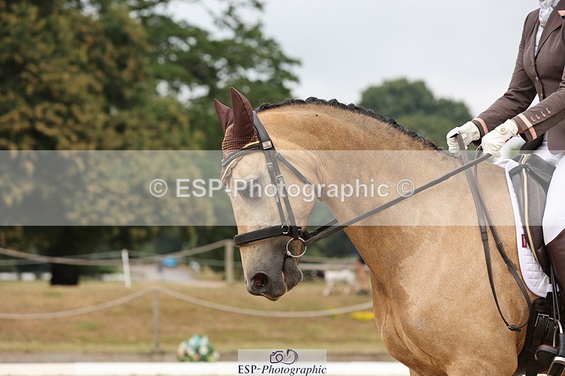 250718A-115731-01003 - 042-Georgia.Ryder-Dylasau.Zennor