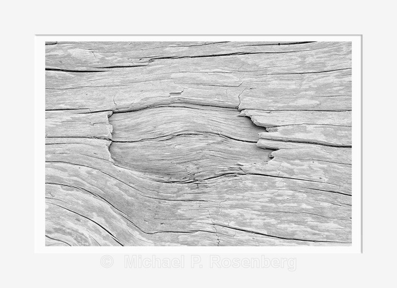 Driftwood #6, Rialto Beach WA (2014/D00786) - CALIFORNIA, OREGON, AND WASHINGTON STATES