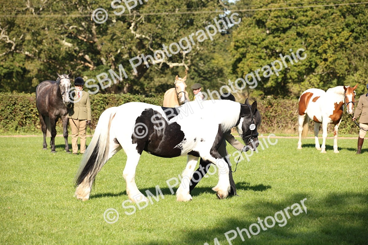 SBM_36589 - S10 - Best In Hand Horse & Pony